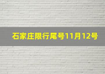 石家庄限行尾号11月12号