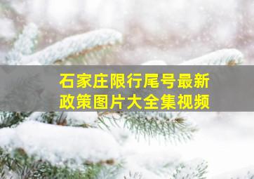 石家庄限行尾号最新政策图片大全集视频