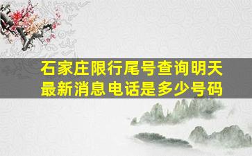 石家庄限行尾号查询明天最新消息电话是多少号码