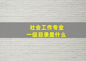 社会工作专业一级目录是什么