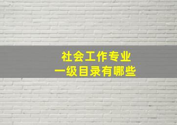 社会工作专业一级目录有哪些