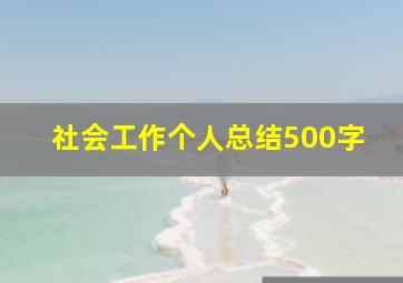 社会工作个人总结500字