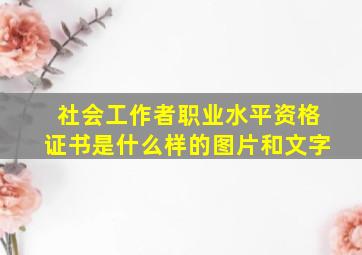 社会工作者职业水平资格证书是什么样的图片和文字