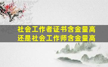 社会工作者证书含金量高还是社会工作师含金量高