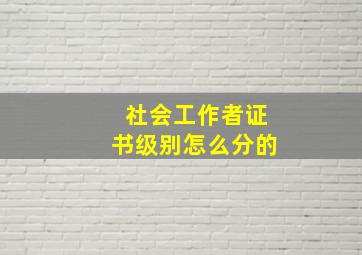 社会工作者证书级别怎么分的