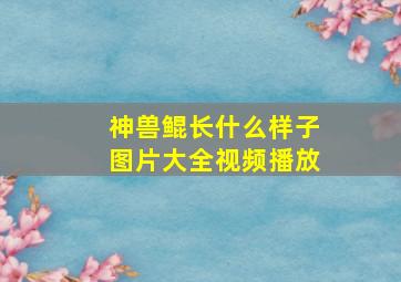 神兽鲲长什么样子图片大全视频播放