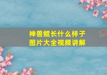 神兽鲲长什么样子图片大全视频讲解