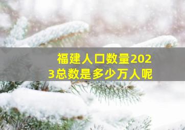 福建人口数量2023总数是多少万人呢