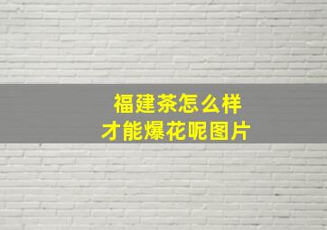 福建茶怎么样才能爆花呢图片