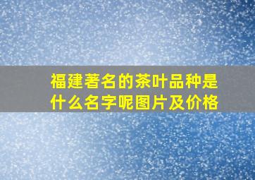 福建著名的茶叶品种是什么名字呢图片及价格