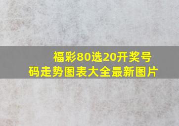 福彩80选20开奖号码走势图表大全最新图片