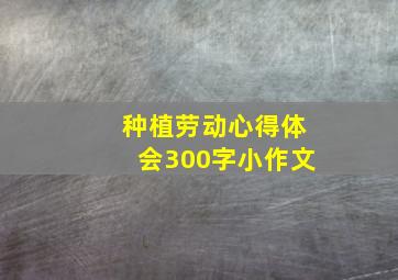 种植劳动心得体会300字小作文