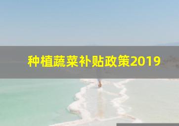 种植蔬菜补贴政策2019