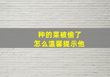 种的菜被偷了怎么温馨提示他