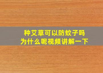 种艾草可以防蚊子吗为什么呢视频讲解一下