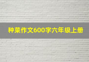 种菜作文600字六年级上册