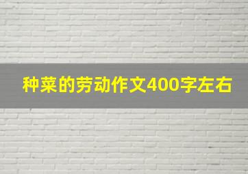 种菜的劳动作文400字左右