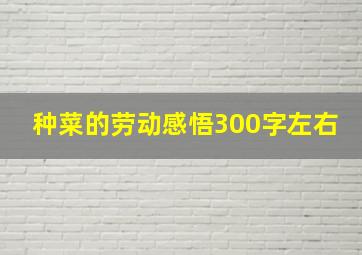 种菜的劳动感悟300字左右