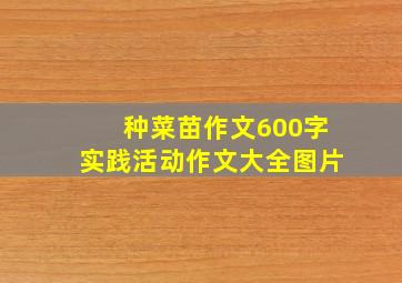 种菜苗作文600字实践活动作文大全图片