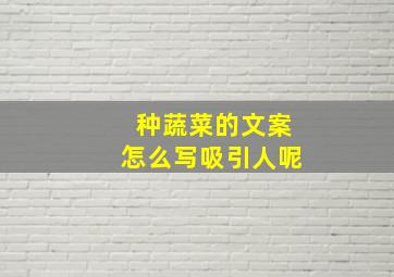 种蔬菜的文案怎么写吸引人呢