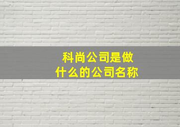 科尚公司是做什么的公司名称