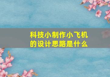 科技小制作小飞机的设计思路是什么