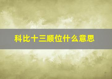 科比十三顺位什么意思