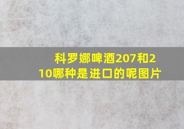 科罗娜啤酒207和210哪种是进口的呢图片