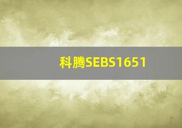 科腾SEBS1651