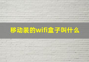 移动装的wifi盒子叫什么