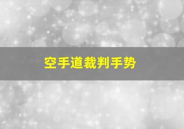 空手道裁判手势