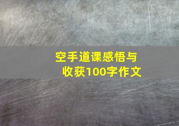 空手道课感悟与收获100字作文