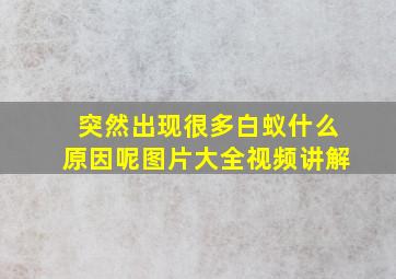 突然出现很多白蚁什么原因呢图片大全视频讲解