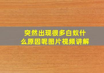 突然出现很多白蚁什么原因呢图片视频讲解