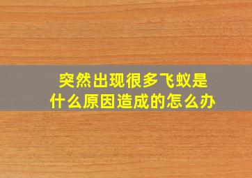 突然出现很多飞蚁是什么原因造成的怎么办