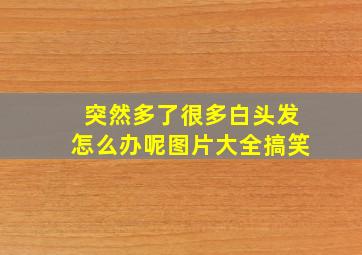 突然多了很多白头发怎么办呢图片大全搞笑