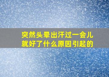 突然头晕出汗过一会儿就好了什么原因引起的