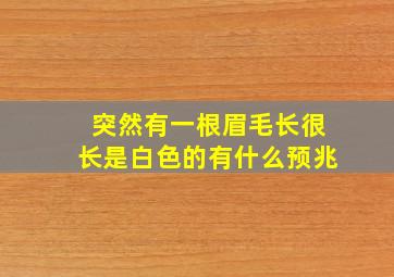 突然有一根眉毛长很长是白色的有什么预兆