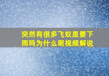 突然有很多飞蚁是要下雨吗为什么呢视频解说