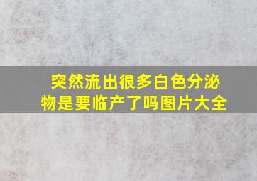 突然流出很多白色分泌物是要临产了吗图片大全