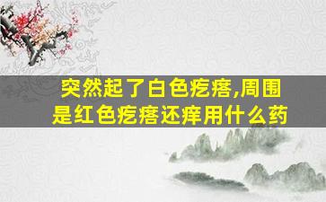 突然起了白色疙瘩,周围是红色疙瘩还痒用什么药