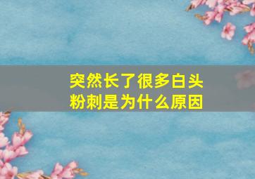 突然长了很多白头粉刺是为什么原因