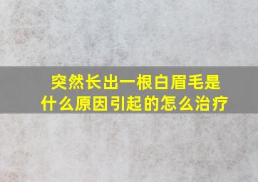 突然长出一根白眉毛是什么原因引起的怎么治疗