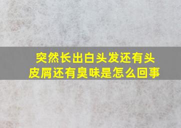 突然长出白头发还有头皮屑还有臭味是怎么回事