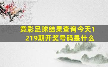 竞彩足球结果查询今天1219期开奖号码是什么