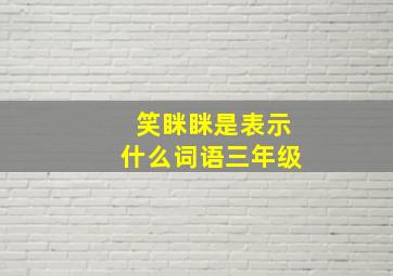 笑眯眯是表示什么词语三年级