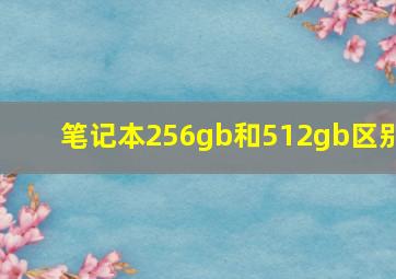 笔记本256gb和512gb区别