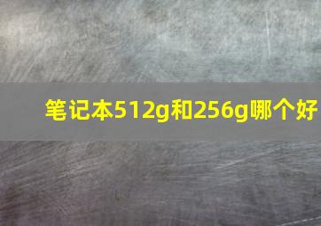 笔记本512g和256g哪个好