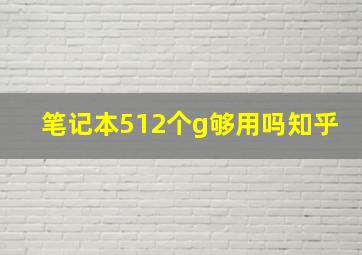 笔记本512个g够用吗知乎