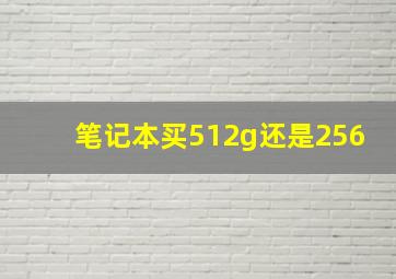 笔记本买512g还是256